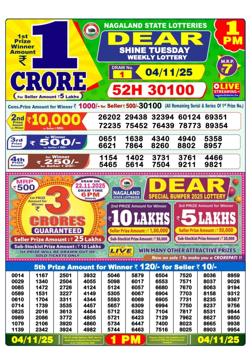 Nagaland State Lottery 1 PM Result Today 04.11.2025 LIVE: Dear Lottery Sambad Winner List